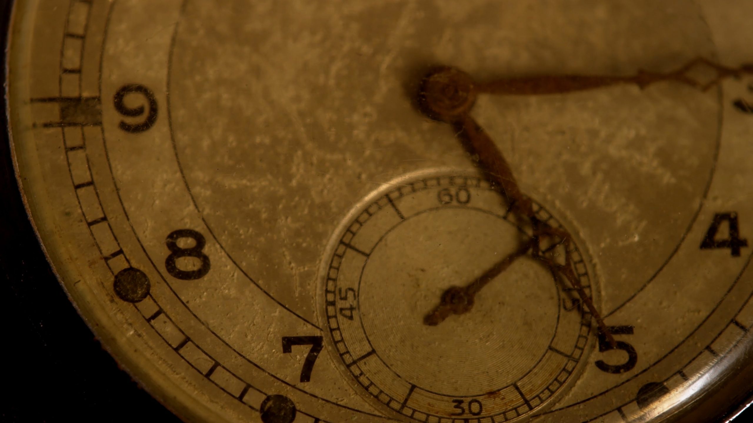 450 jaar universiteit leiden